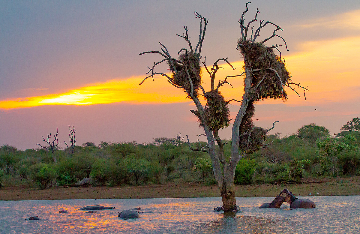 Kruger National Park